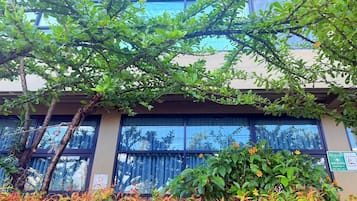 تلفزيون بشاشة مسطحة بحجم 32-بوصة يعرض قنوات تلفزيونية باشتراك مدفوع