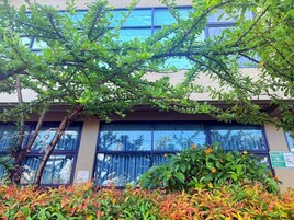 32-英寸纯平电视 （配备有线频道）、电视