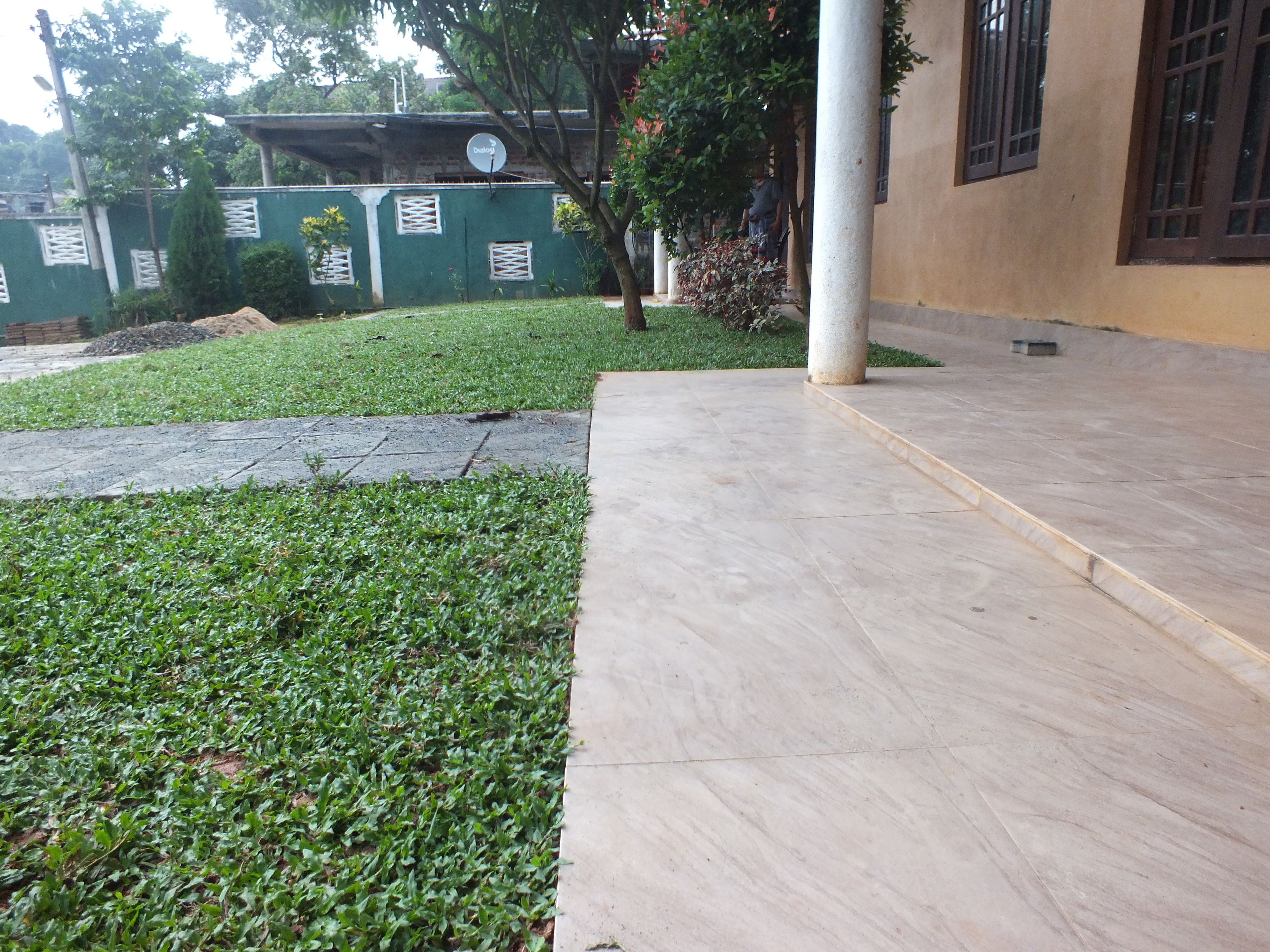 A paved walkway leading to a building with a green wall and a satellite dish.