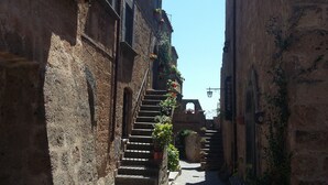 Una calle estrecha con edificios de piedra, una escalera y plantas en macetas.