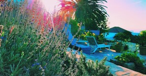 Garden - Maes Atlantic (Cape Town)