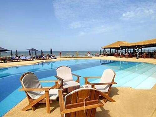 Royal Horizon Baobab