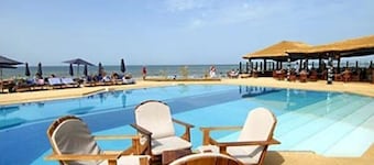 Royal Horizon Baobab