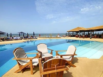 Royal Horizon Baobab