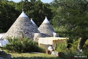 Exterior detail - Trulli Del Bosco (Martina Franca)