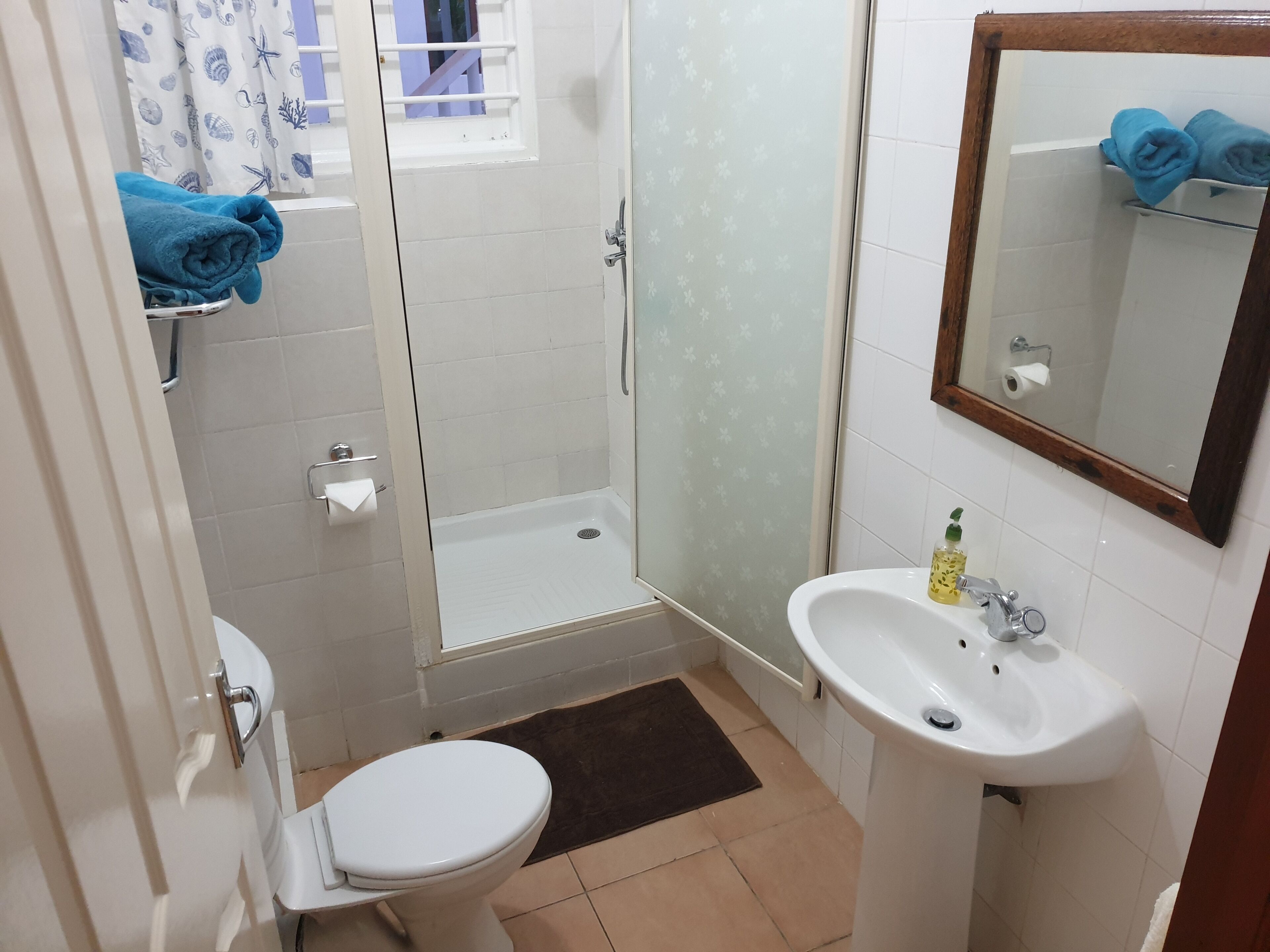 Apartament bàsic, 1 llit doble | Bany | Dutxa, assecador de cabells, tovalloles i sabó 
