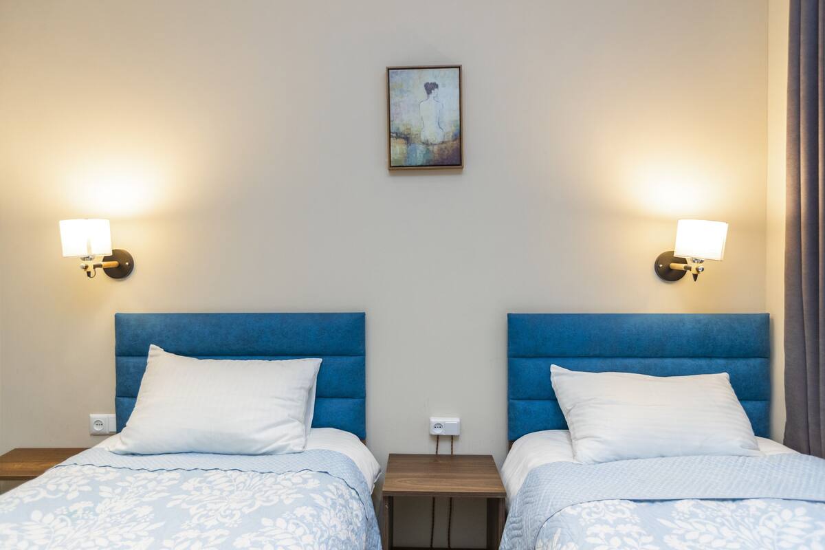 Habitación estándar con 2 camas individuales | 1 habitación, ropa de cama de alta calidad y minibar