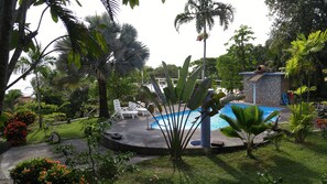A pool area with lounge chairs, a small pool, and surrounding tropical vegetation.