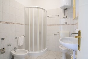 Shower, hair dryer, bidet, towels
