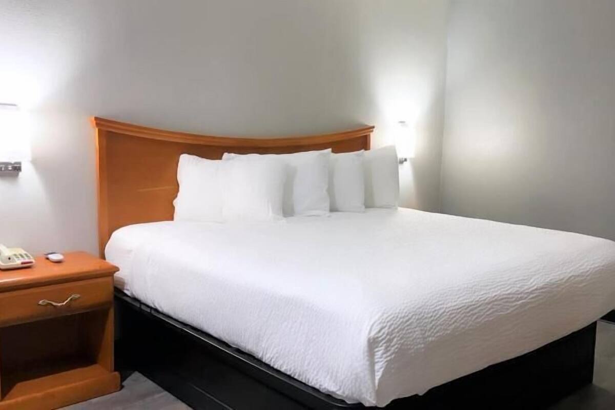 Premium bedding, individually decorated, individually furnished, desk