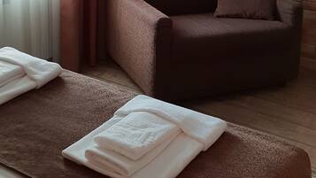 Standard Double Room (Extra Sofa Bed) | In-room safe, iron/ironing board, free WiFi, bed sheets