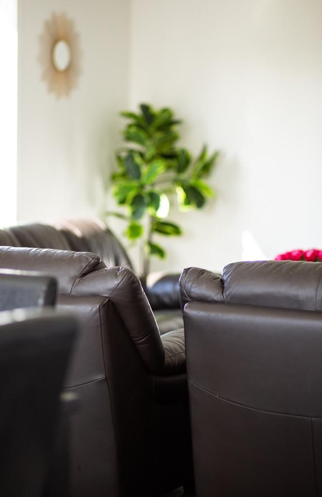 Un coin salon avec un canapé en cuir marron et une plante verte en arrière-plan.