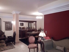 Living room - Doublex appartement in city center of Cairo (Cairo)