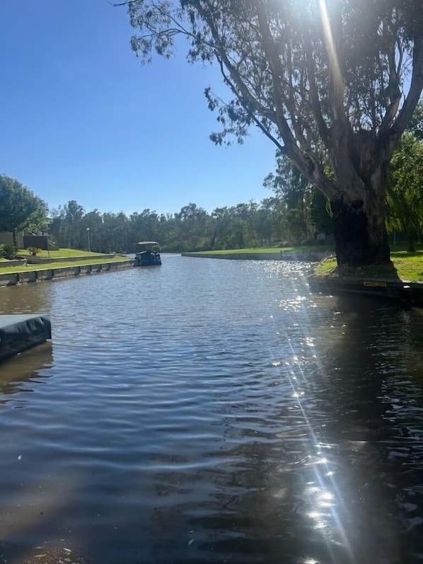 Een rustige rivier met een boot, omringd door groen en bomen.