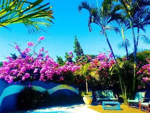 Terraço/pátio