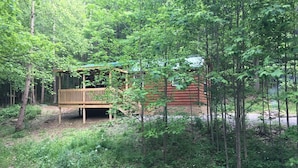 Un chalet rustique entouré d’une forêt dense.