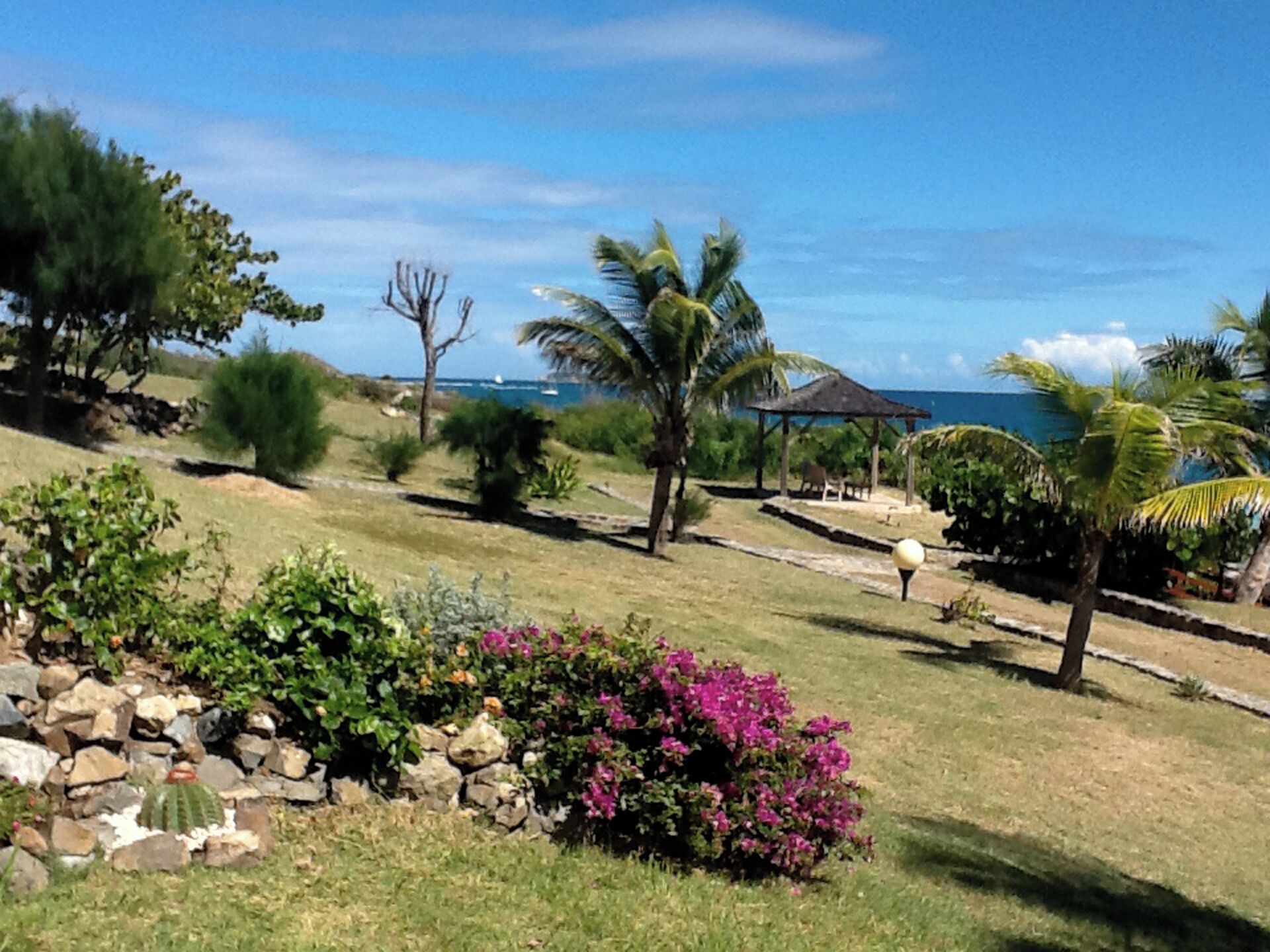 A garden with various plants and a gazebo near a body of water.