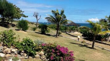 A garden with various plants and a gazebo near a body of water.
