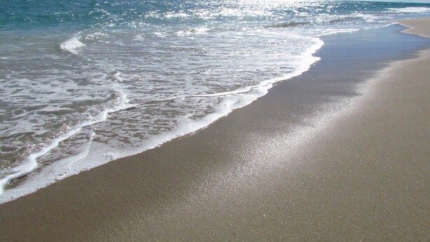 Une plage où les vagues viennent doucement lécher le rivage.