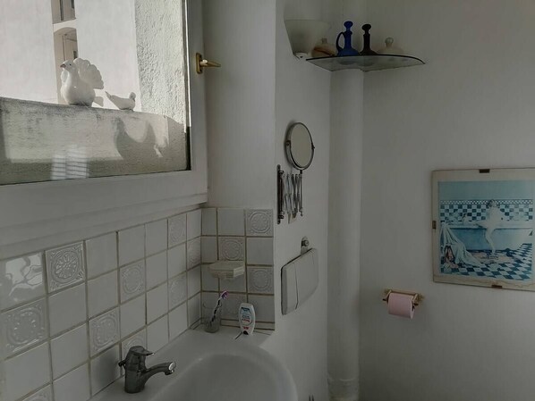 Ensemble baignoire-douche, séchoir à cheveux, serviettes fournies, savon