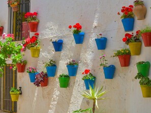 Property grounds - Fantastico apartamento frente al mar (Torrox)