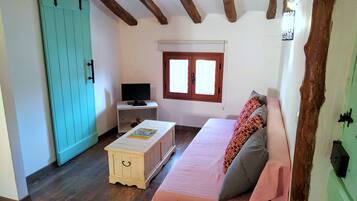 Smart TV, chimenea y libros