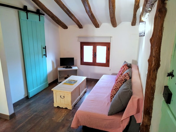 Smart TV, fireplace, books