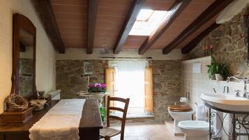 Shower, hair dryer, bidet, towels