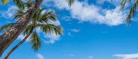 Liegestühle, Strandtücher