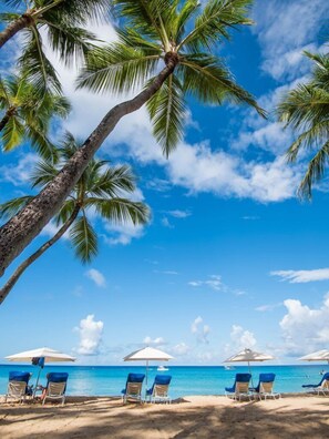A beach with palm trees, clear blue sky, and beach chairs with umbrellas. - Close to beach, West Coast, 4 bedrooms and private pool (Holetown)