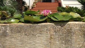 A modern building with a staircase leading to a door, surrounded by lush greenery and a large pink water lily.