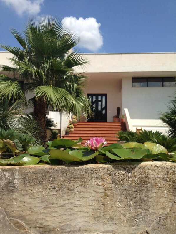A modern building with a staircase leading to a door, surrounded by lush greenery and a large pink water lily. - apartment/ flat - Casarano (Casarano)