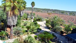 A garden with palm trees and a dirt path leading to a building.