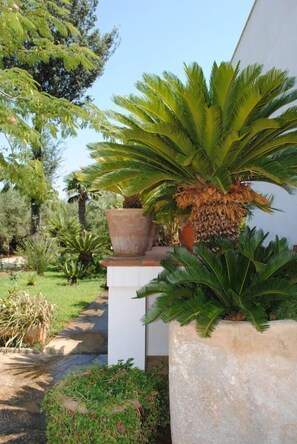 Property grounds - apartment/ flat - Casarano (Casarano)