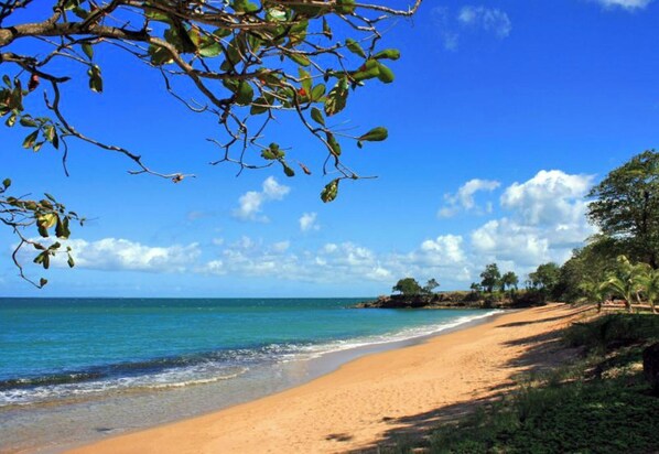 Plage à proximité