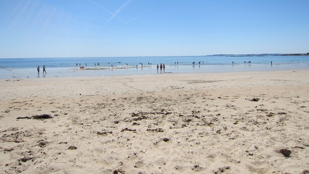 Une vaste plage de sable où l’on peut voir des empreintes de pas et des algues dispersées sur le sable.