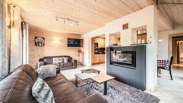 電視、壁爐、DVD 播放機