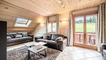 電視、壁爐、DVD 播放機