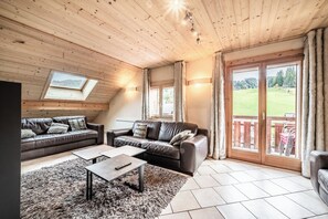 電視、壁爐、DVD 播放機