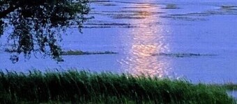 Spécial Août * Avant-Marais💖-Près du Marshwalk-Firepit-Kayaks-Énorme cour *