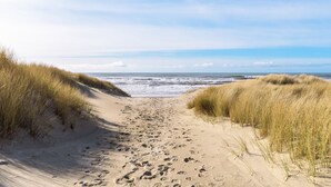 En sti gennem sand på stranden med fodaftryk, omgivet af græsdyner.