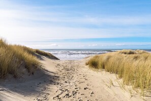 Plage, chaises longues, serviettes de plage