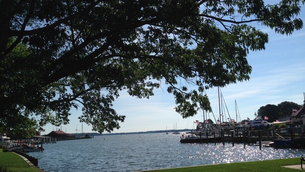 A marina with boats docked, a grassy area in the foreground, and a clear sky. - John Bruff Waterview Cottage - on Harbor and on Park - In Town St. Michaels! (Saint Michaels)