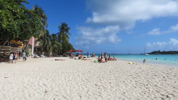 A beach with people sunbathing and swimming, palm trees, and boats in the background. - Bottom of villa for rent, seasonal rental (Le GOSIER)