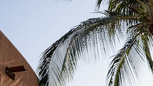 A building with a unique curved facade and a small window. - Luxurious Oceanfront Villa - Steps from Manzanillo Beach - Best View in Puerto (Puerto Escondido)