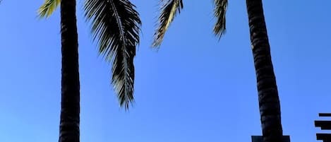 På stranden, solstolar och strandhanddukar