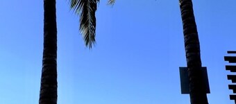 Villa Sophie 3BR/3BA, Beach Front Terrace, Heated Pool, Parking.
