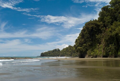 Paisible vue sur l'océan Accueil dans le parc national marin Ballena.  À pied des plages.