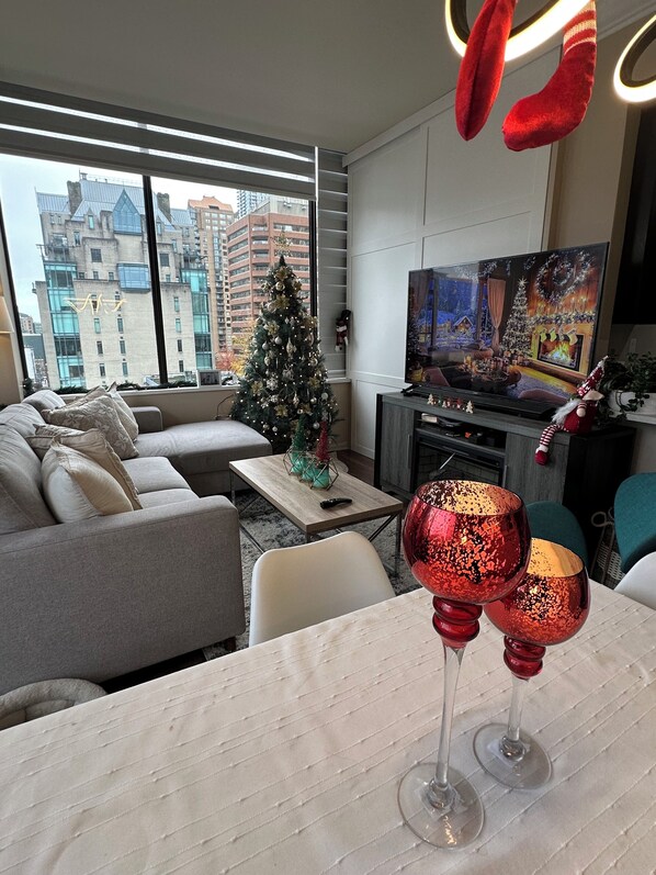 电视、DVD 播放器、影片库、立体声音响