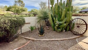 Um jardim com cactos e um carrinho de mão.